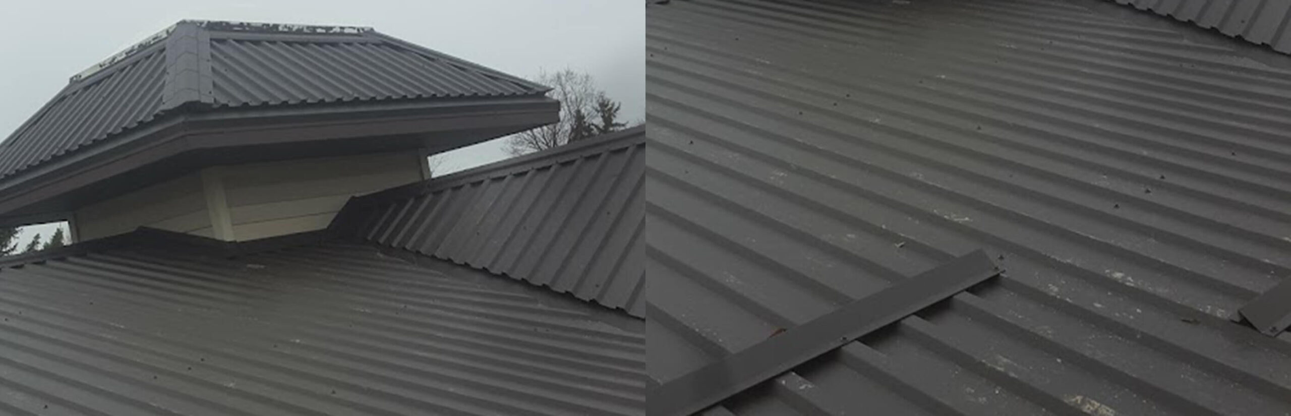 Elite roofing profile Dan Metal Roofing